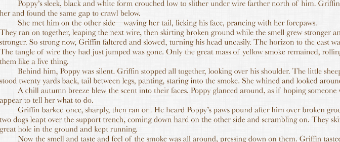 Griffin